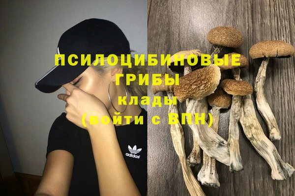 прущая мука Арсеньев