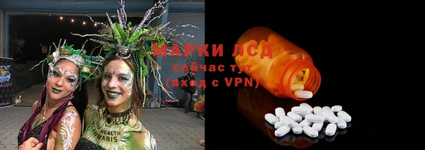 spice Алзамай