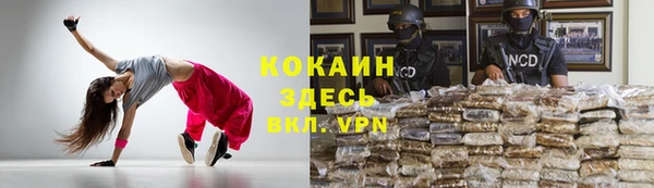 сатива Тавда
