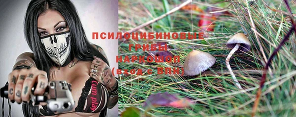 гидропоника Армянск