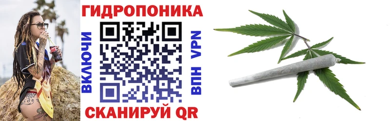 МАРИХУАНА SATIVA & INDICA  наркотики  Томмот 